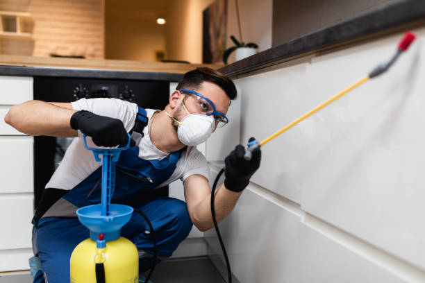  Boise City, OK Pest Control Pros