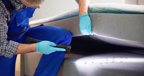 Best Cockroach Control Services  in Boise City, OK
