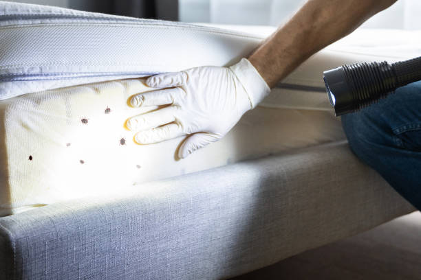 Boise City, OK Pest Control Company